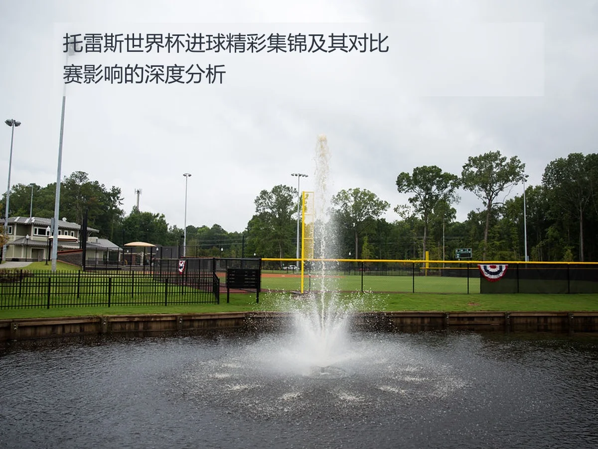 托雷斯世界杯进球精彩集锦及其对比赛影响的深度分析